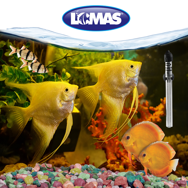 Calentador Fijo Thermo Mini 15 W Acuarios 15 Litros