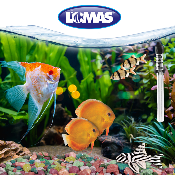 Calentador Fijo Thermo Mini 10w Acuario 10 Litros Peces