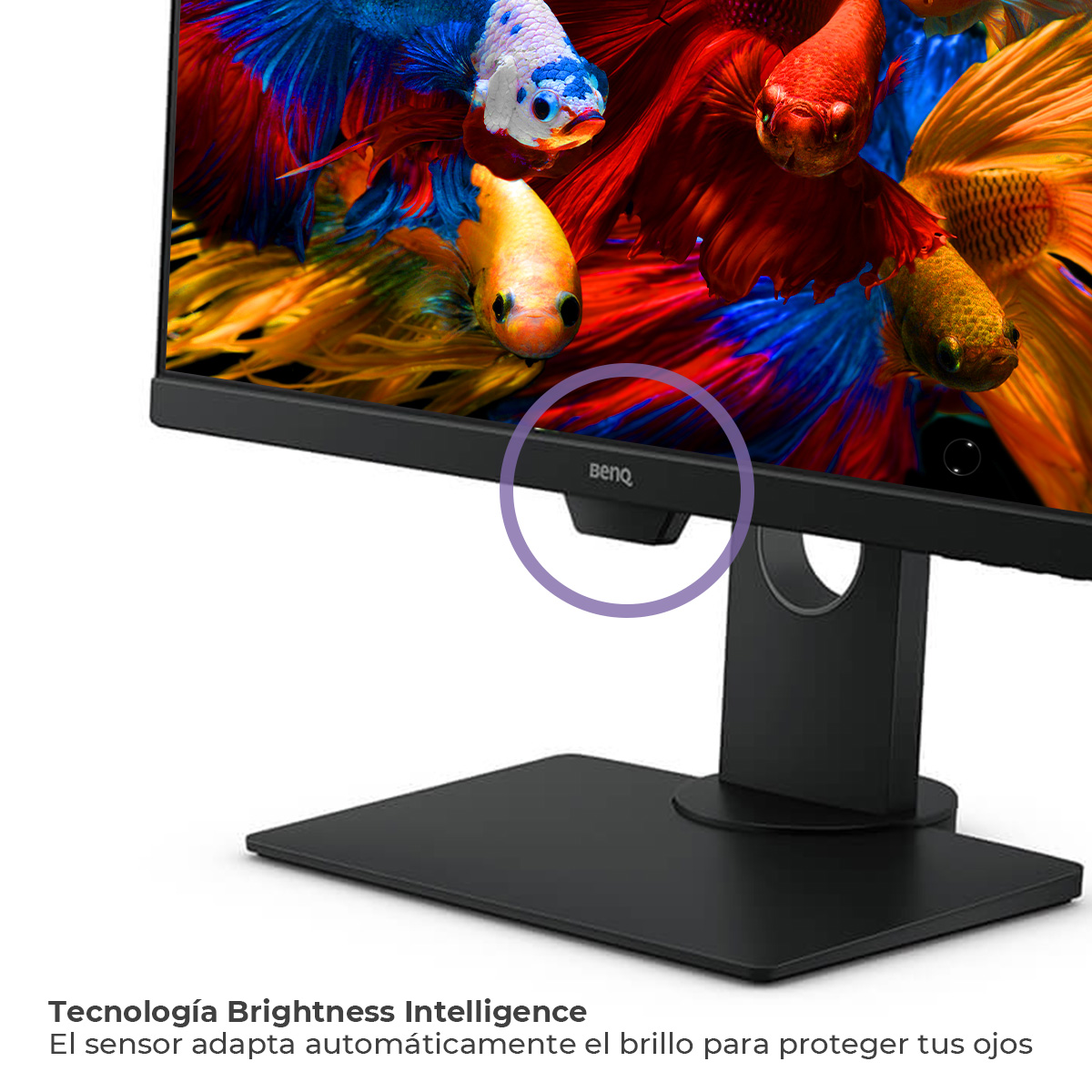 Monitor PC Ergonómico 24 pulgadas BenQ GW2480T FHD IPS Eye-Care