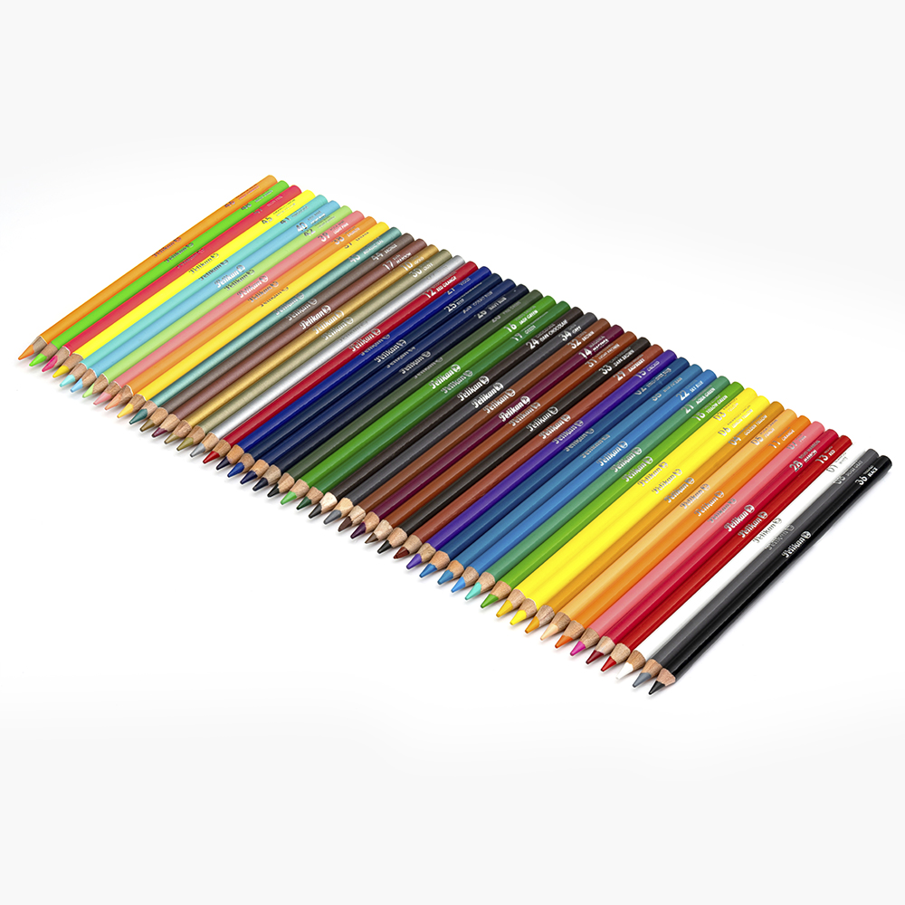 Lapices de Colores Pelikan Largos 48 de 4mm