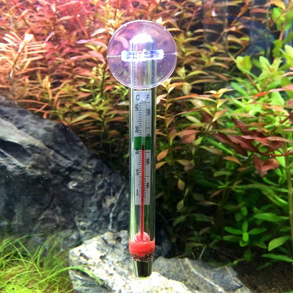 Termómetro De Vidrio Boyu Bt01 Con Chupón Peces Acuario