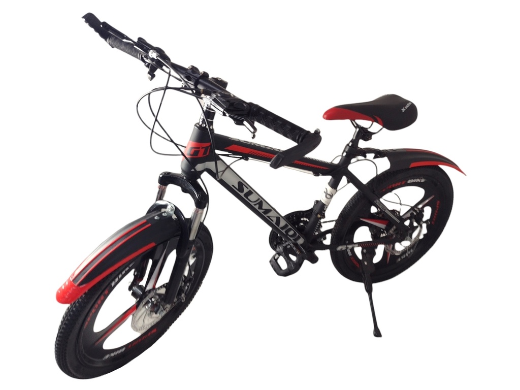  Bicicleta Sport De Montaña Rodada 20 Infinité  IF-BM20