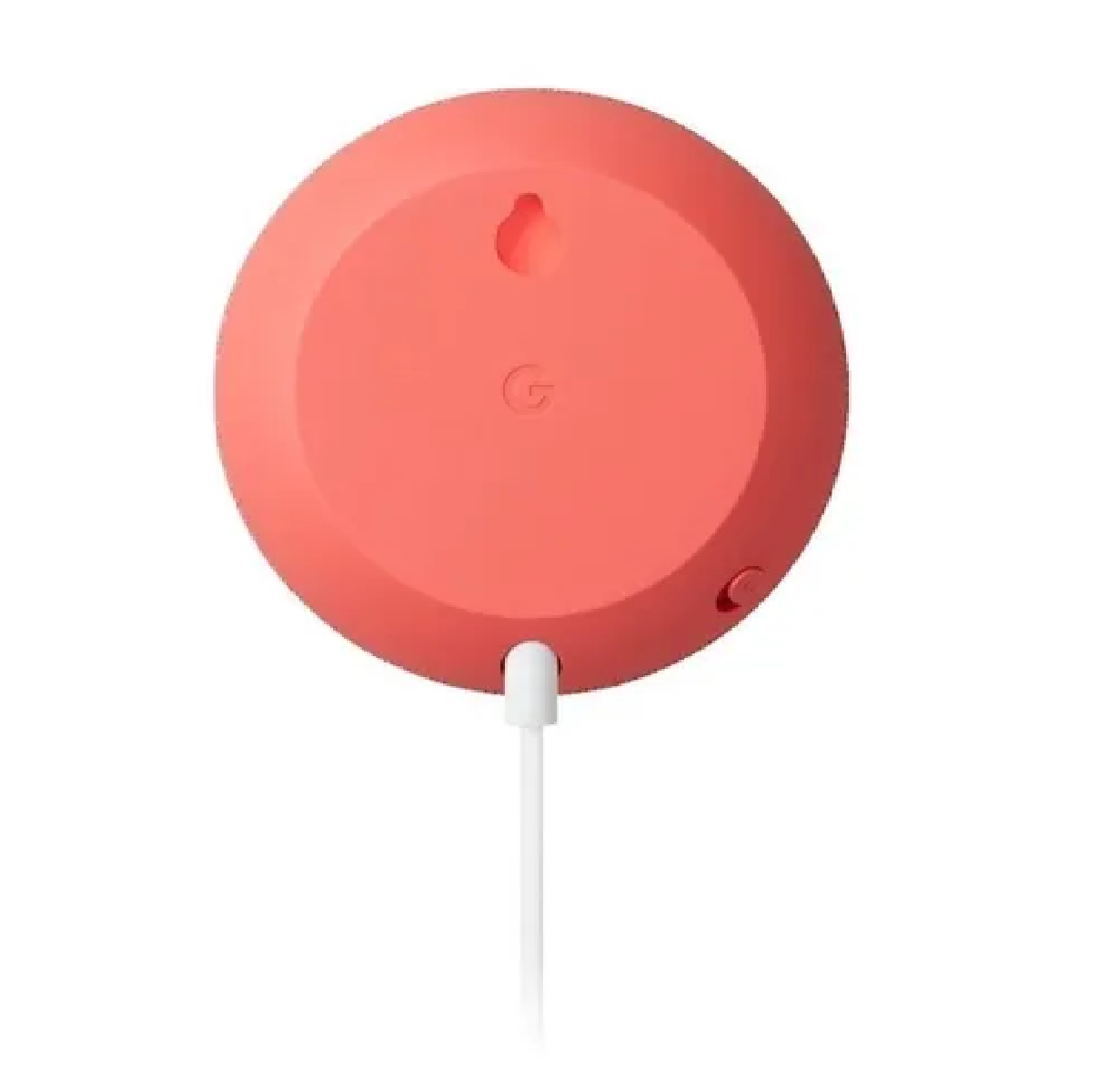 Asistente virtual Google Assistant coral 110V/220V