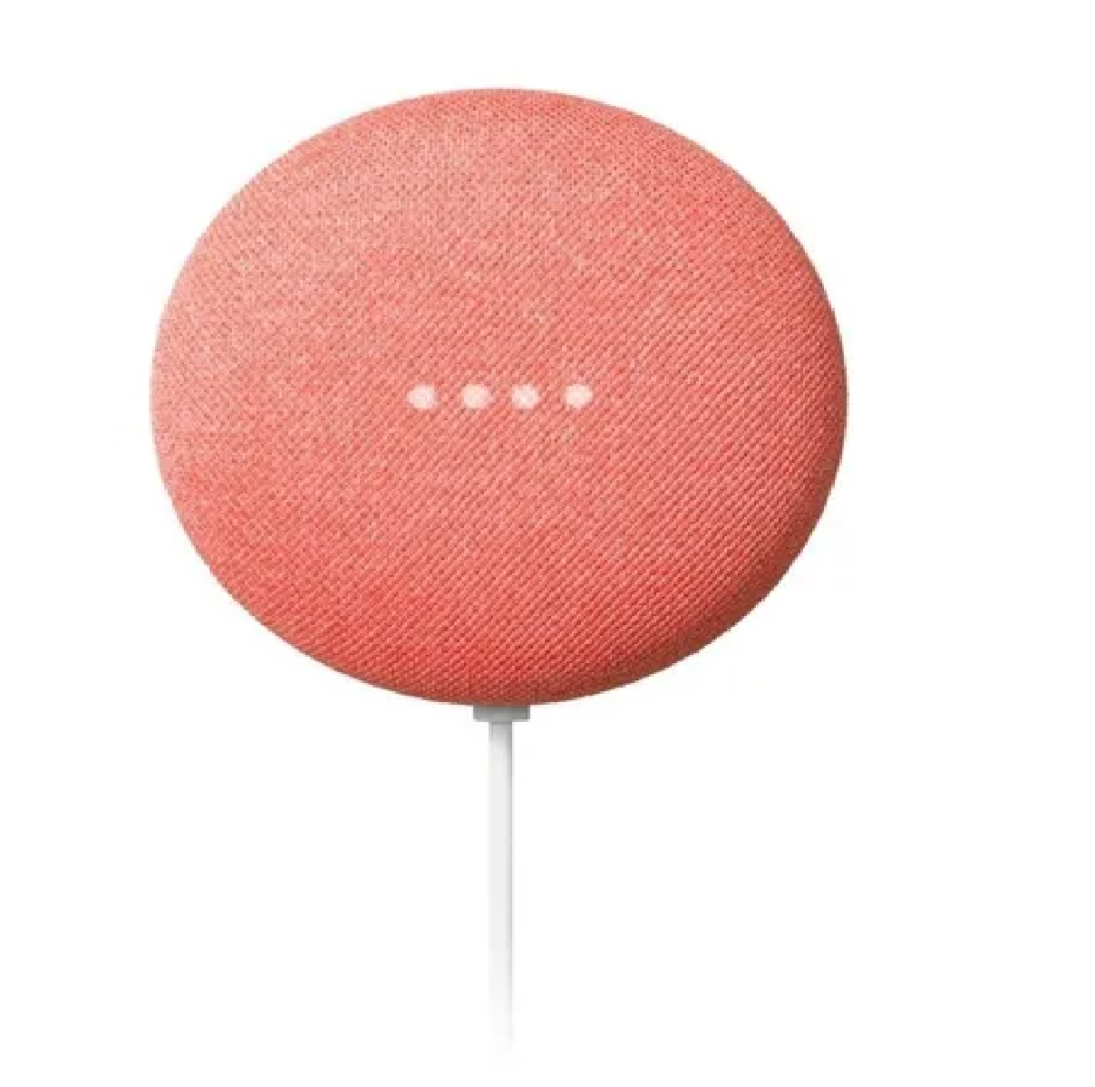 Asistente virtual Google Assistant coral 110V/220V