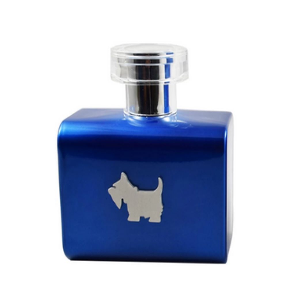 Perfume Ferrioni Terrier Blue Agua de tocador 100ml hombre