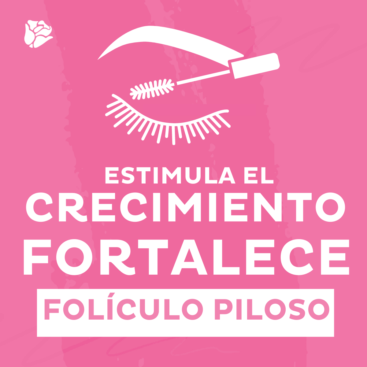 Maquillaje Profesional Aceite Para Cejas Y Pestañas Dolce Bella