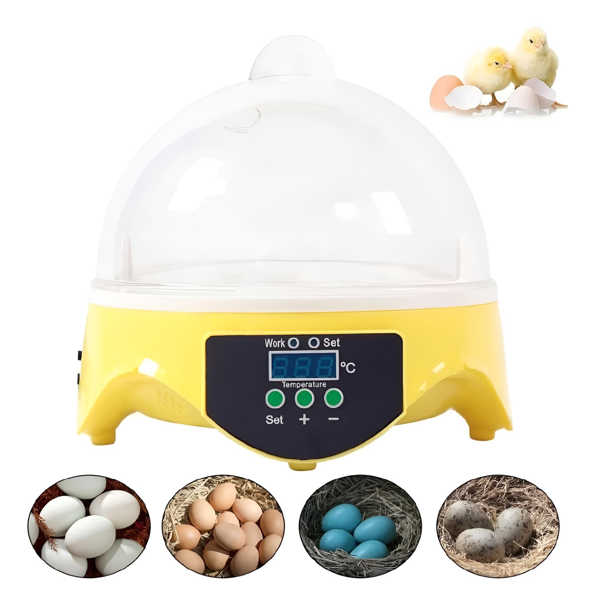 Incubadorae De 7 Huevos, Automatica Maquina Incubadoras Aves