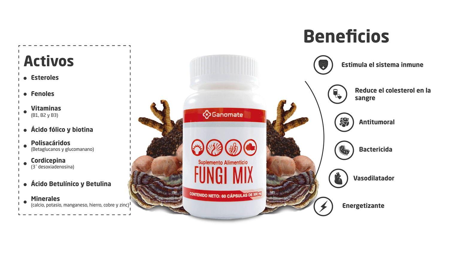 Fungi Mix : Champiñon del sol ,Cola de pavo ,Cordyceps ,Chaga