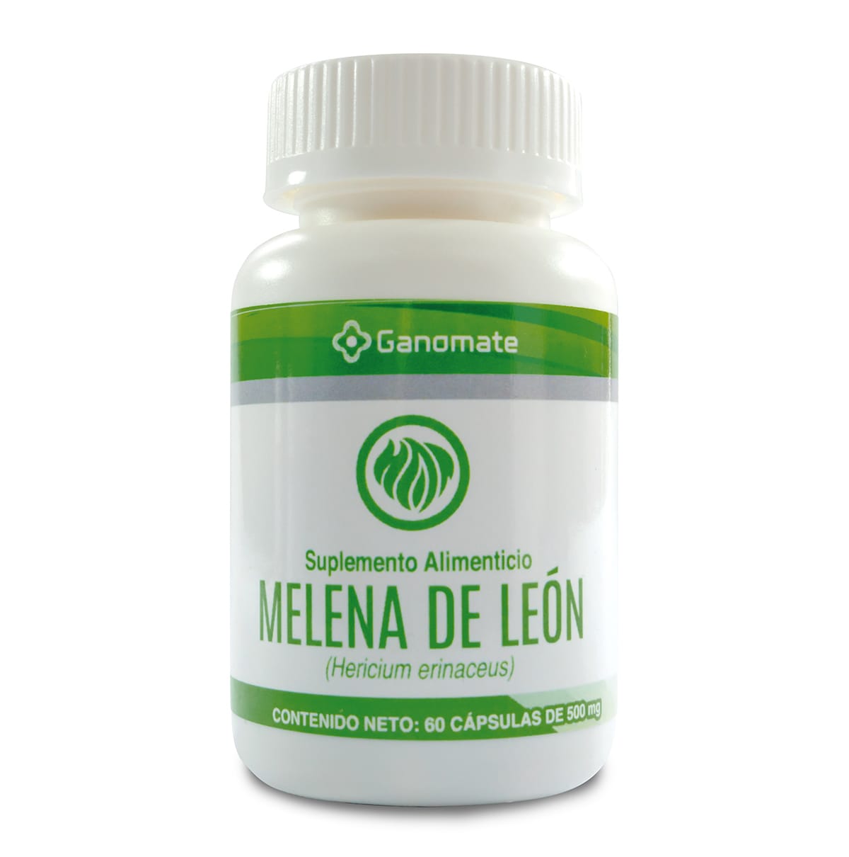 Melena de león ,Lion's mane ,Hericium erinaceus 