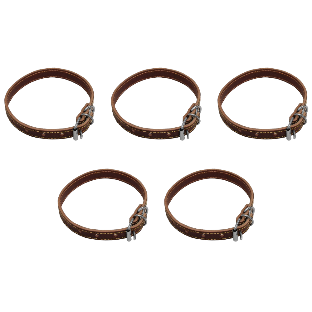 5 Collares De Piel Para Perro, No.6, Gimex
