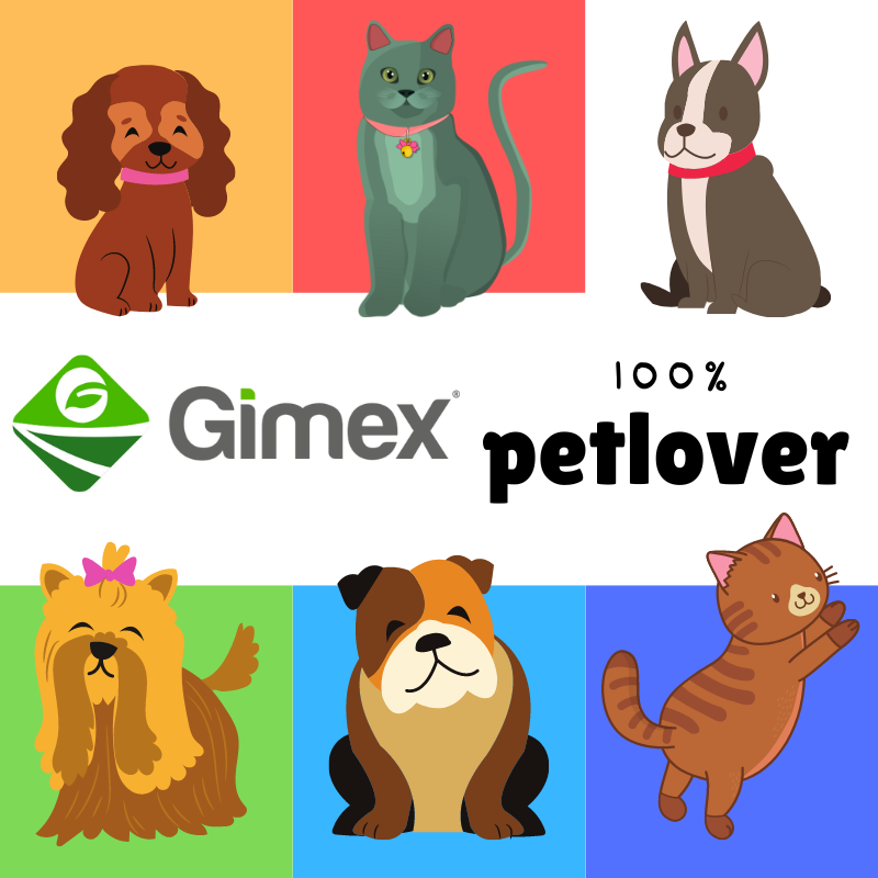 12 Cadenas Para Mascota, Calibre 3mm, Gimex, Cromadas