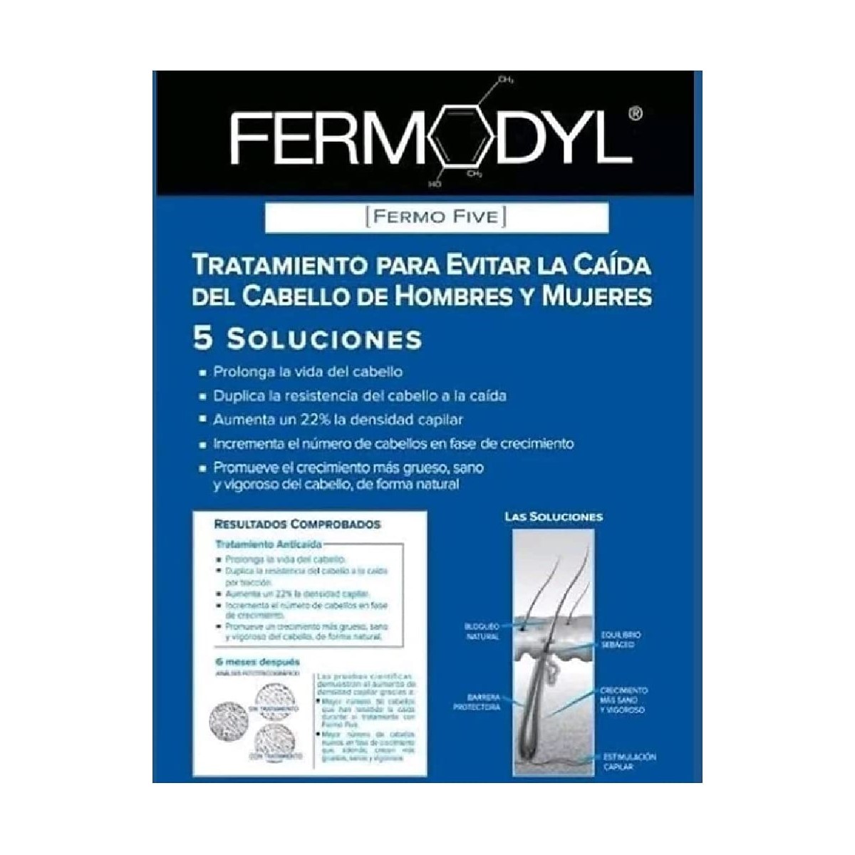 Fermodyl Ampolletas Fermo Five 6x6 ml