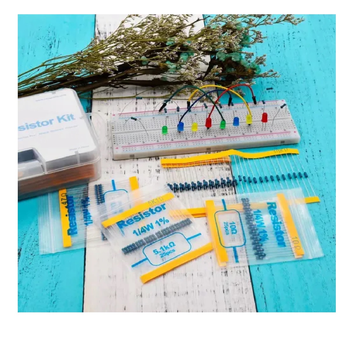 Kit De Resistencias en estuche  (100, 220, 1k, 10k Ohm)