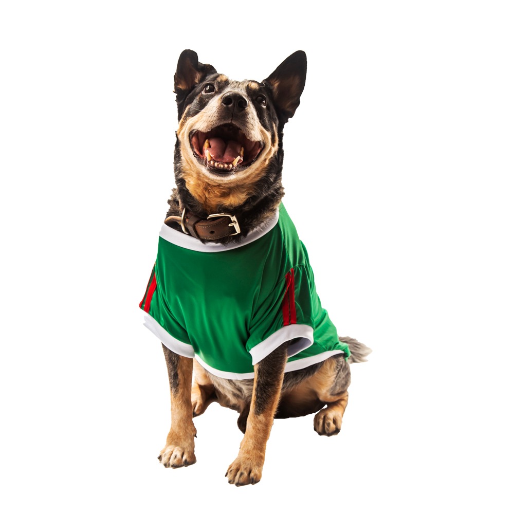 Playera México Clásica Perro Talla 1 Mundial Futbol Pet Pals
