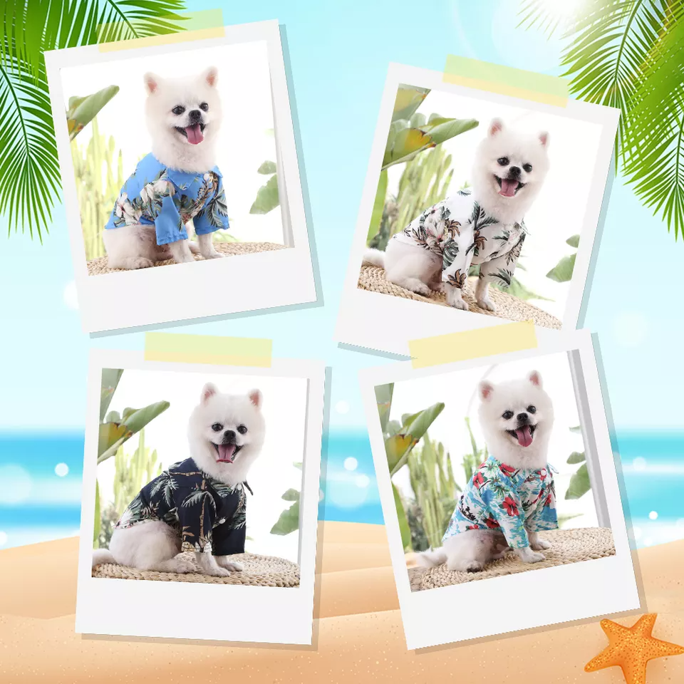 Camisa Hawaiana Para Perro Razas Pequeñas Gato