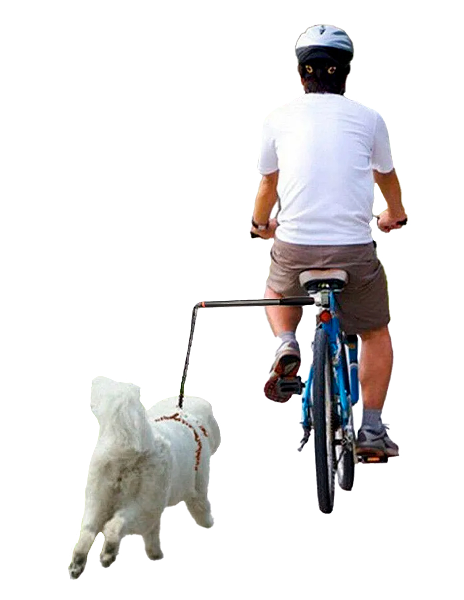 Correa De Bicicleta Para Perro Innovapets
