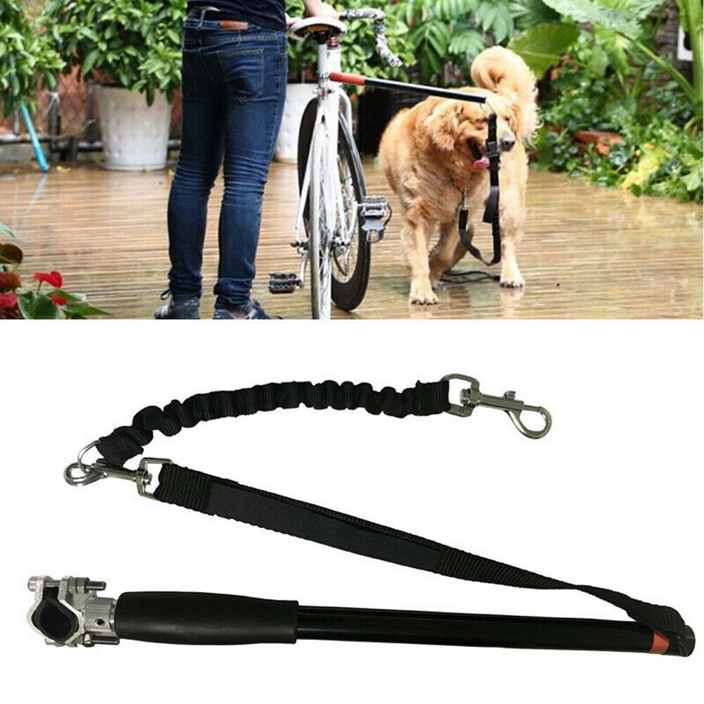 Correa De Bicicleta Para Perro Innovapets