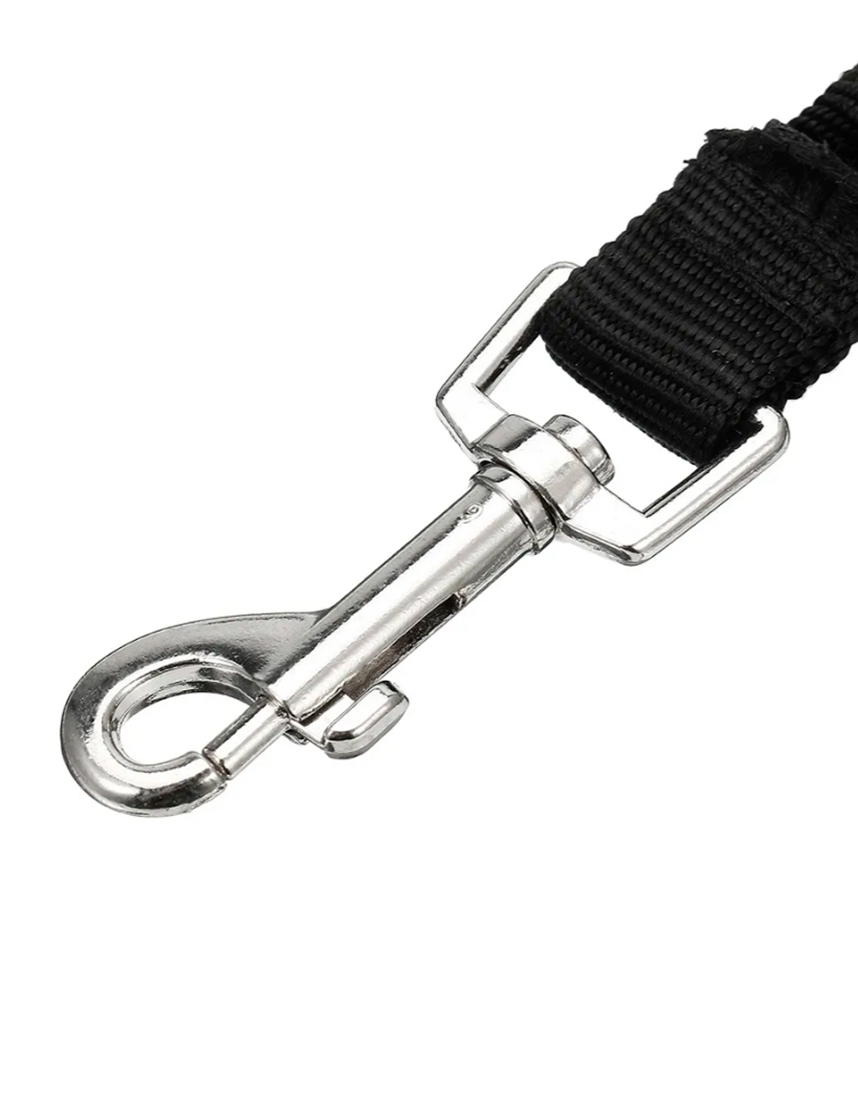 Correa De Bicicleta Para Perro Innovapets