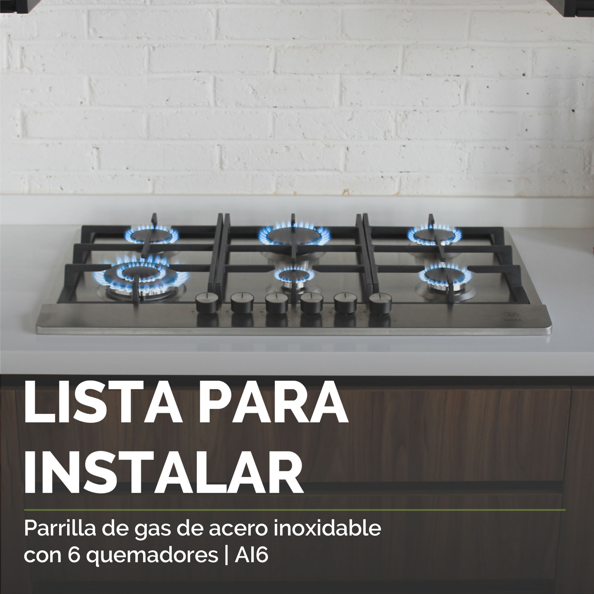 AVERA Parrilla de Gas Acero Inoxidable con 6 Quemadores AI6