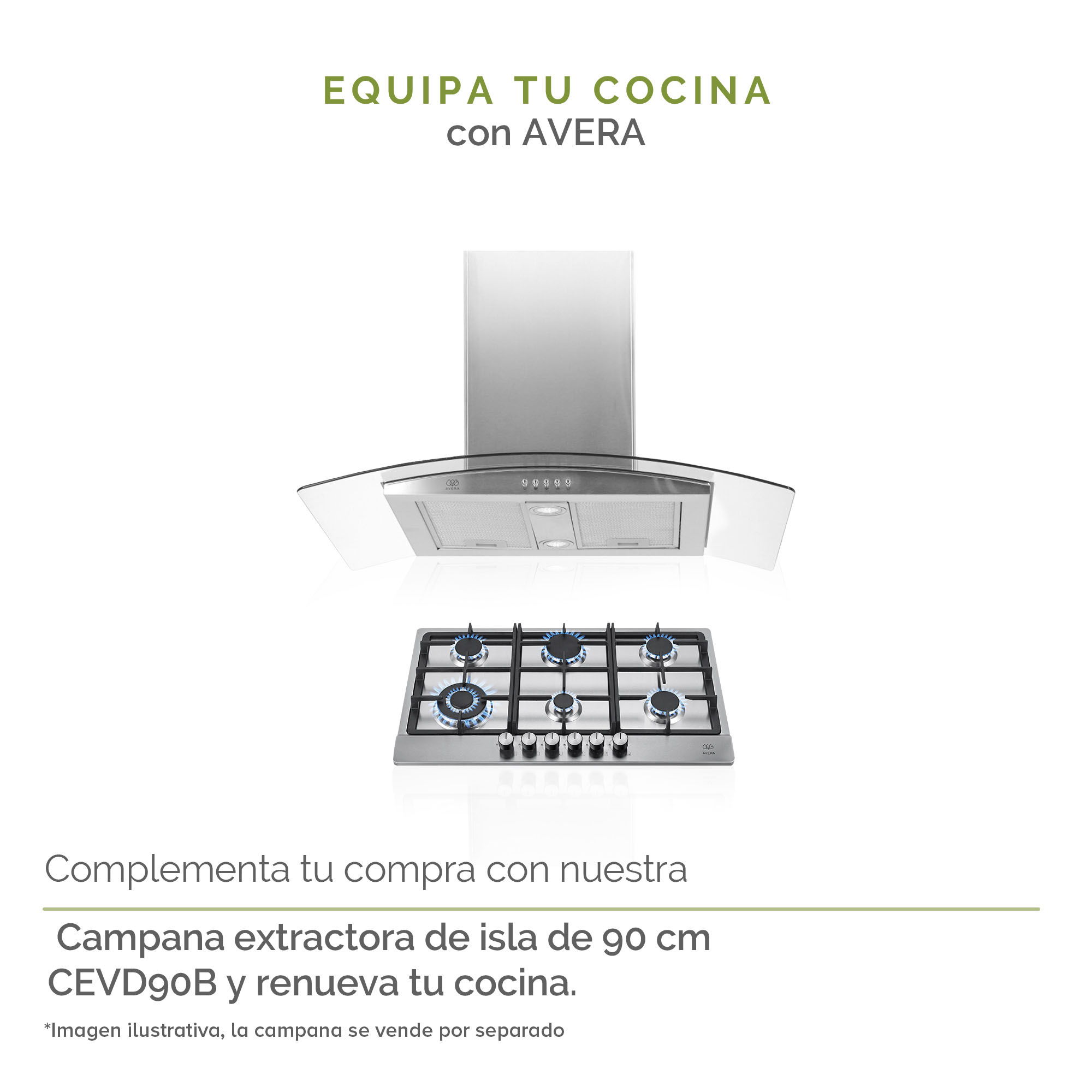 AVERA Parrilla de Gas Acero Inoxidable con 6 Quemadores AI6