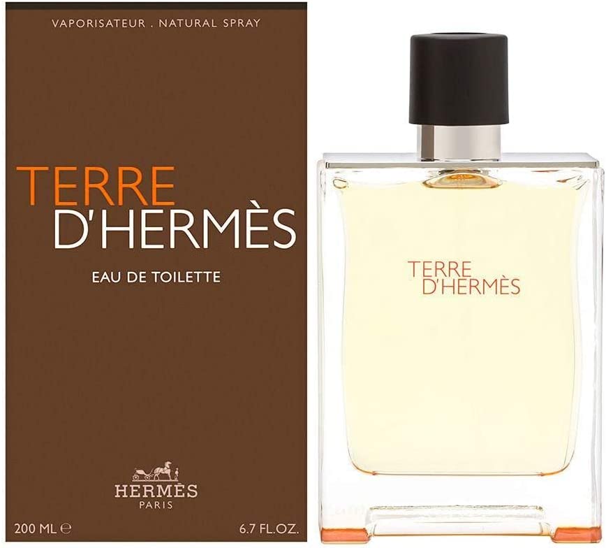 Terre D Hermes Eau De Toilette 100ml