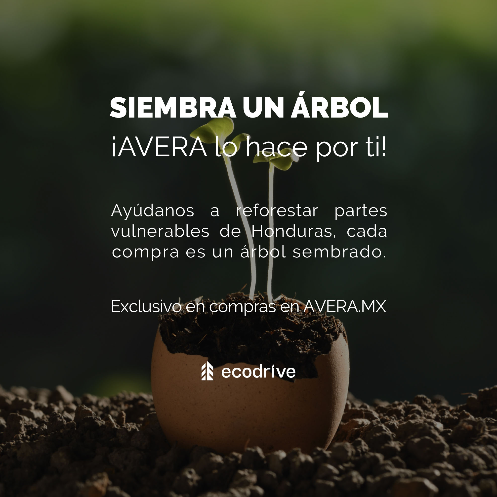 Calentador Boiler de Agua Instantáneo para Gas LP 1 y medio servicios Avera C8L