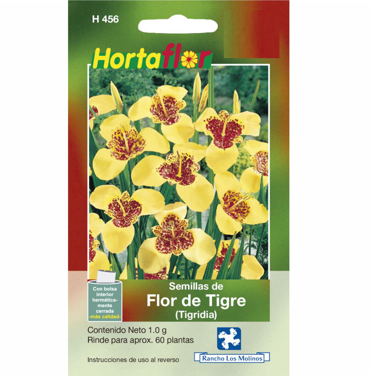 Semillas De Flor De Tigre Tigridia