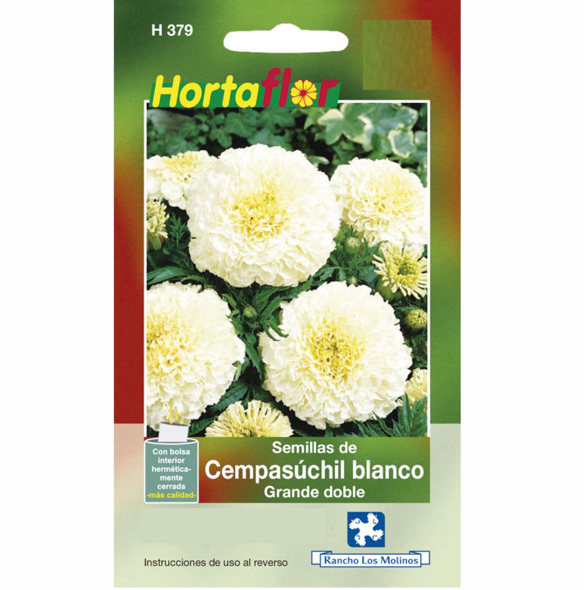 Semillas De Flor De Cempasúchil Blanco Grande Doble