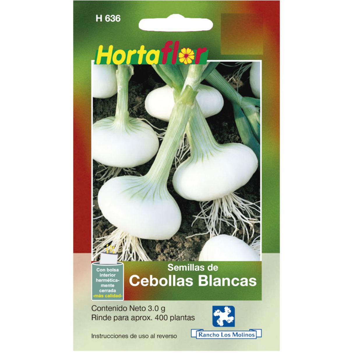 Semillas De Cebolla Blanca