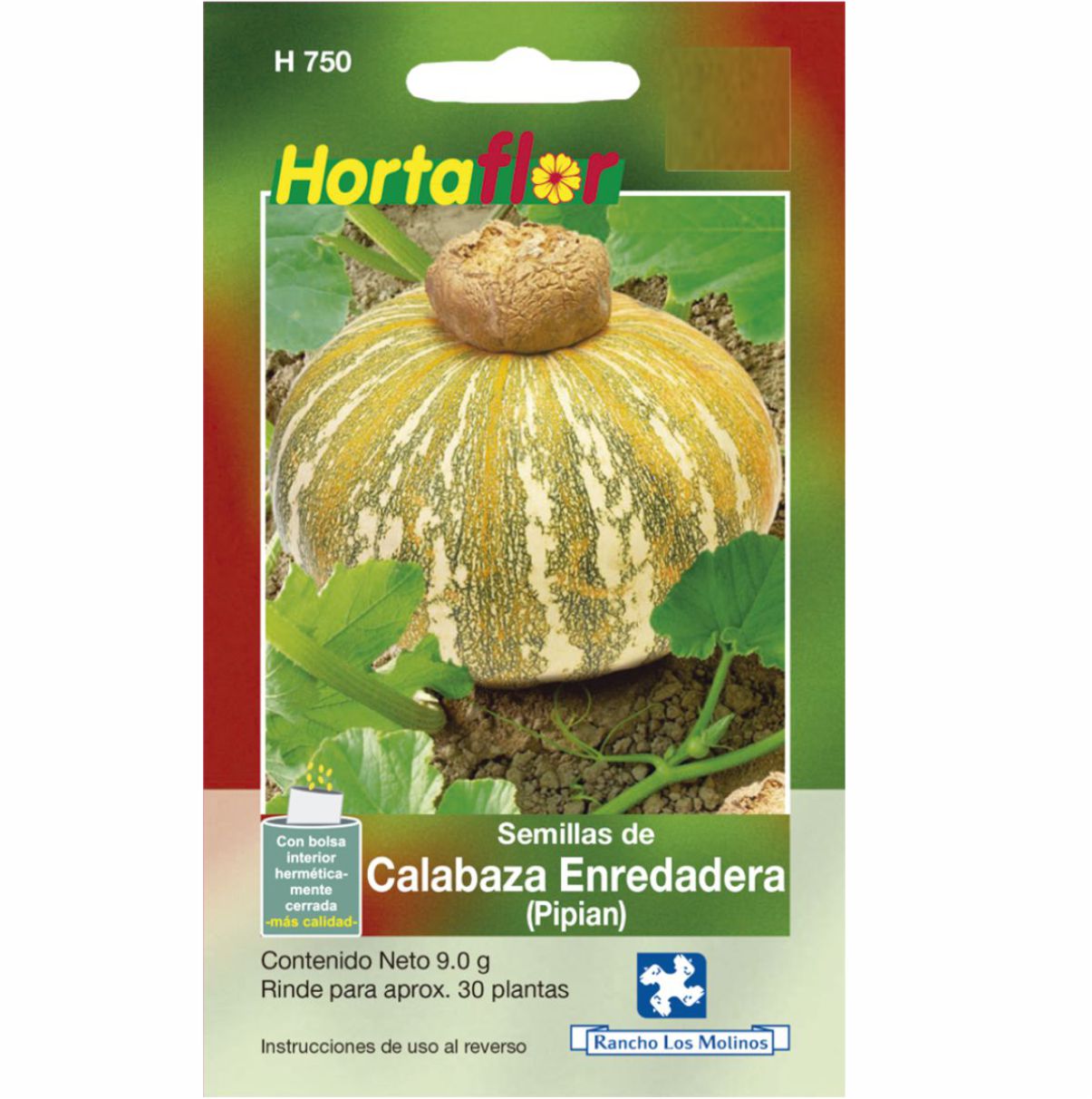 Semillas De Calabaza Enredadera Pipian