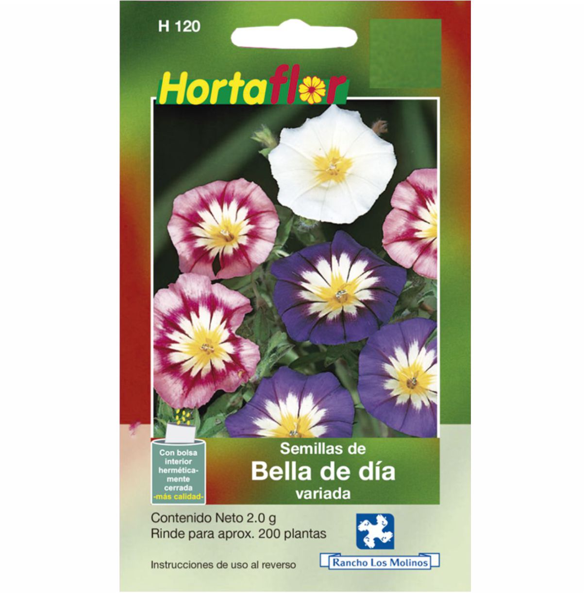 Semillas De Bella De Dia Flor