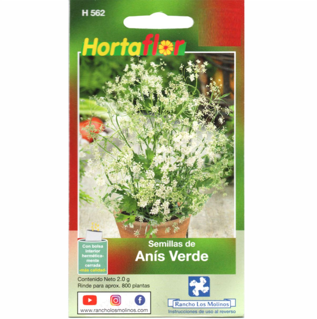 Semillas De Anís Verde