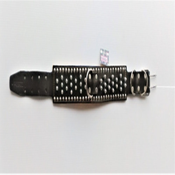 Collar De Picos Perro Raza Mediana Tosko