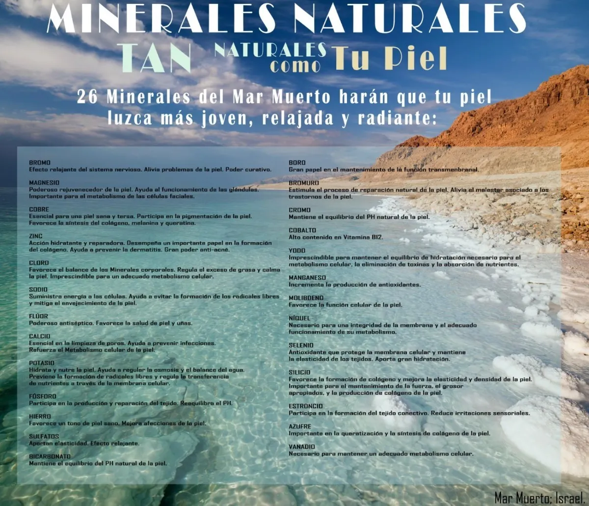 Shampoo Mineral Skin Barro Negro Del Mar Muerto Caida Caspa