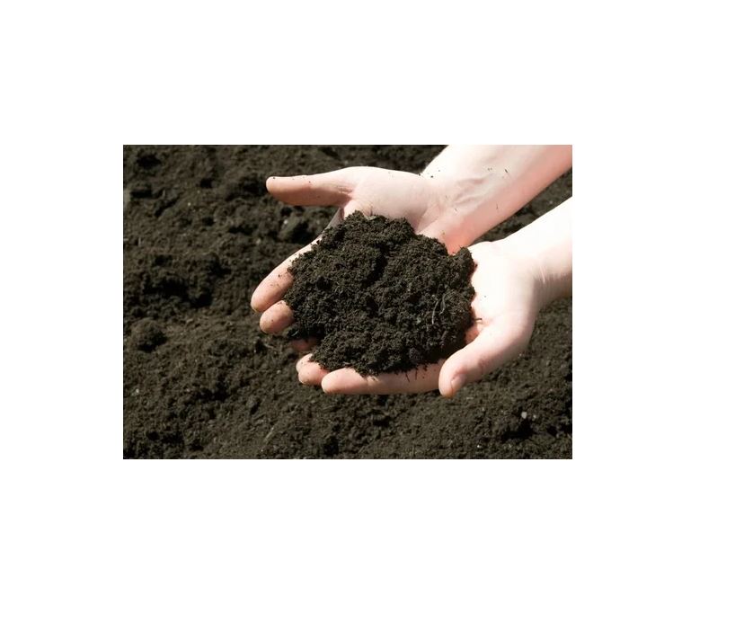 Humus De Lombriz, Abono Orgánico Bolsa De 3kg