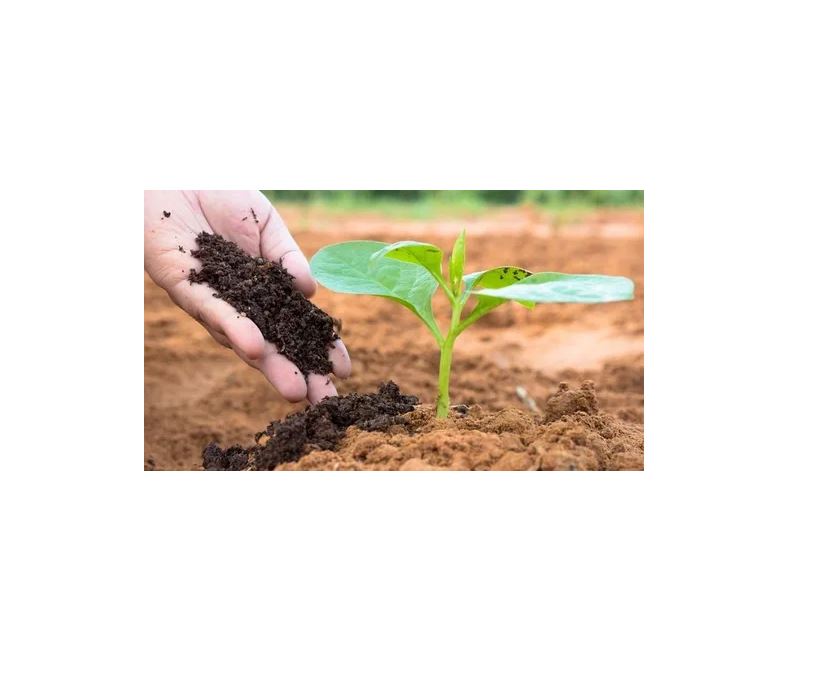 Humus De Lombriz, Abono Orgánico Bolsa De 3kg