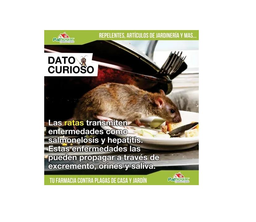 C real B 200 Gr Raticida Cereal Granulado