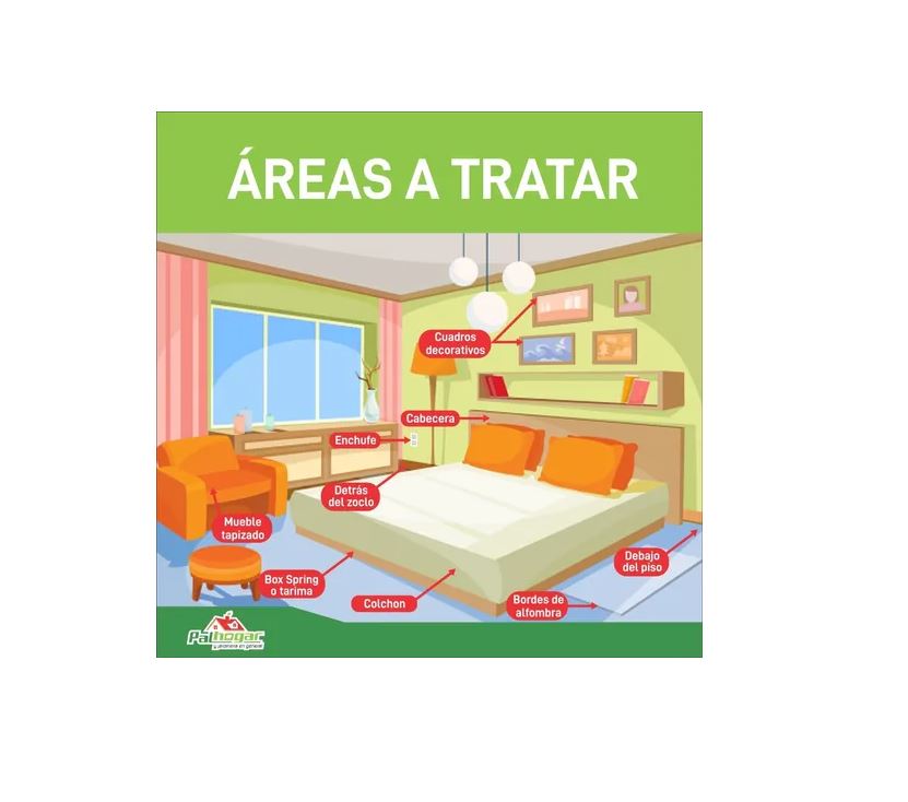 Kit De 2 Frascos De Concentrado Mata Chinches 100% Efectivo