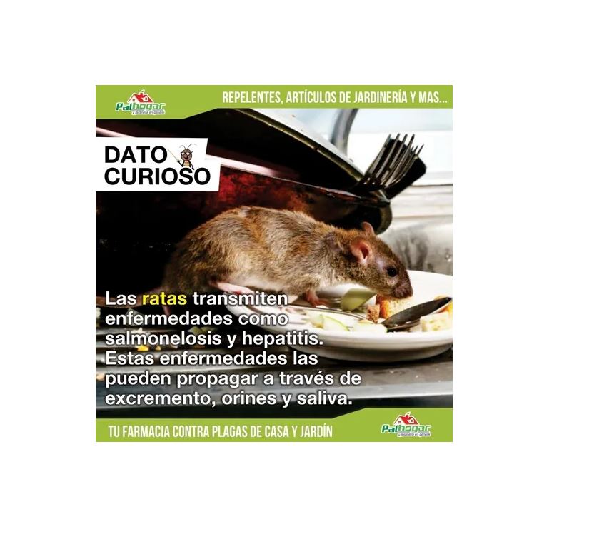 Rate Mate Rodenticida 250gr Cubos Mata Ratas