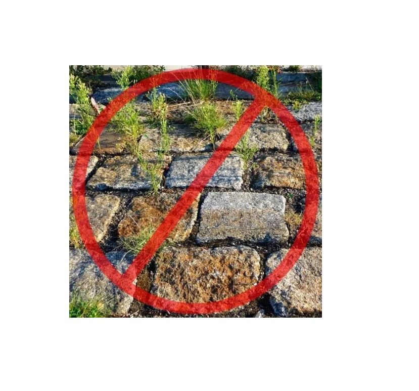 100ml Glifosato Control Malezas, Hierba Nivela