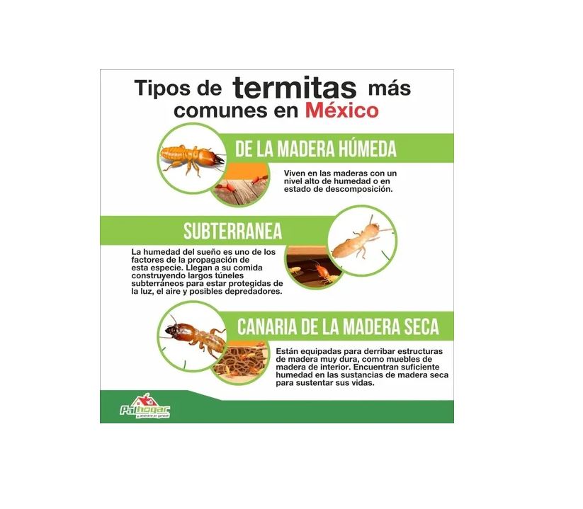 Termidor 25 Ce 250 Ml Insecticida Fipronil