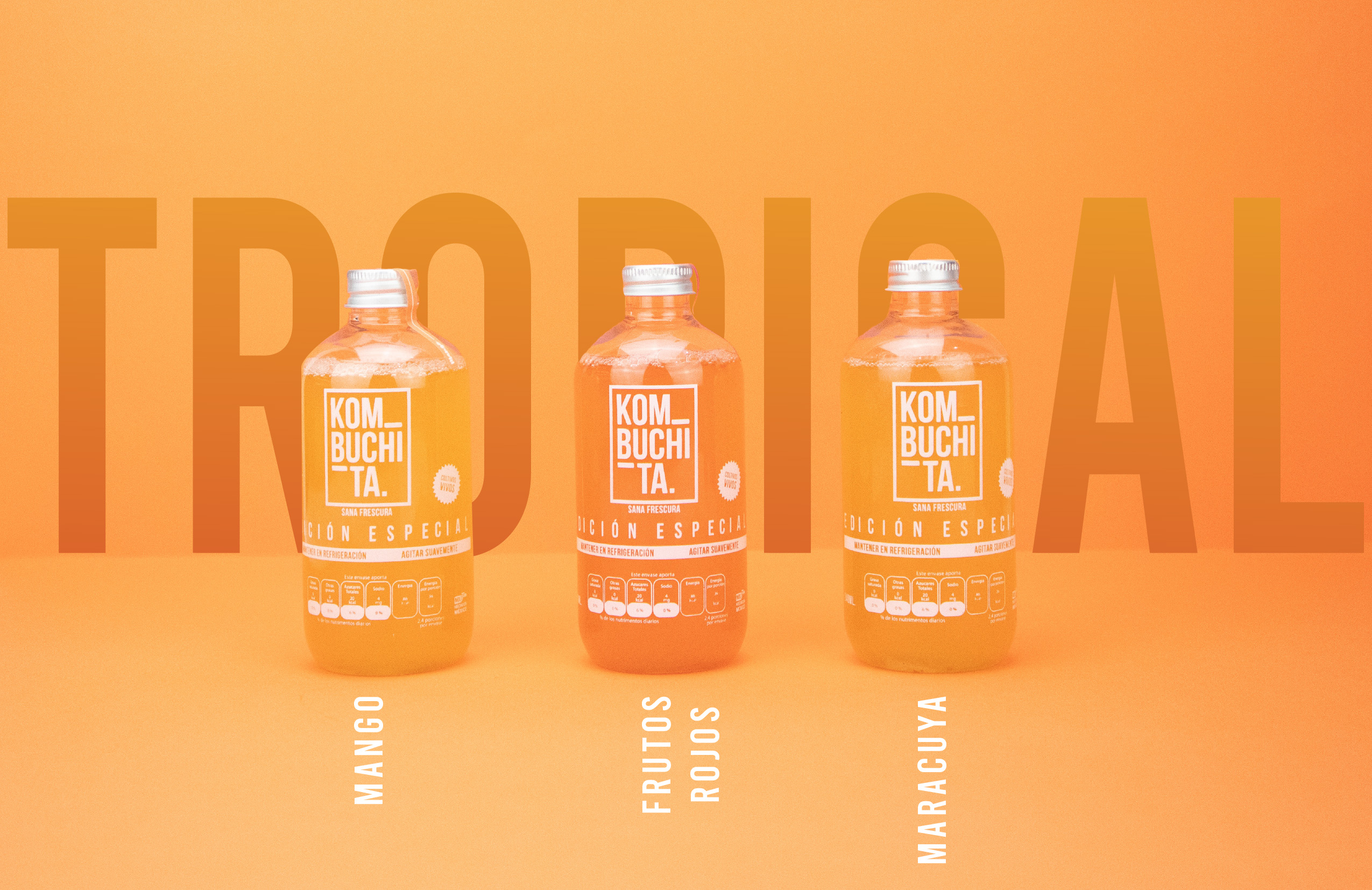 KOMBUCHITA 6 pack Mix Tropical de Kombucha (6 x 240ml) . 