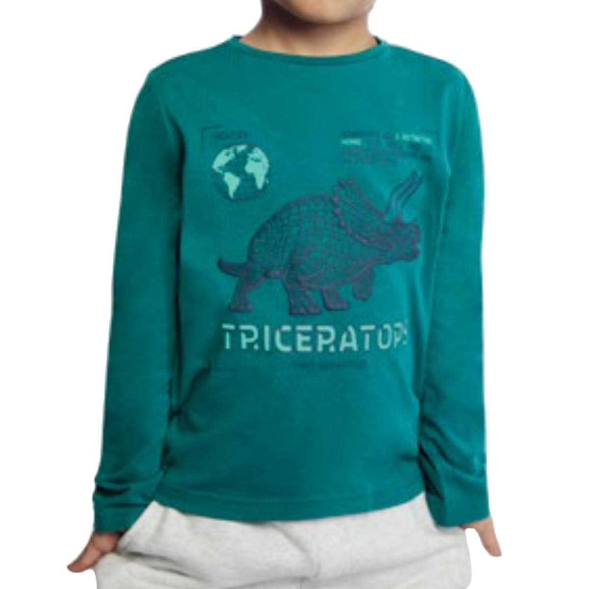 Playera Casual Con Estampado Manga Larga Next & Co color Verde para Niño 1034996