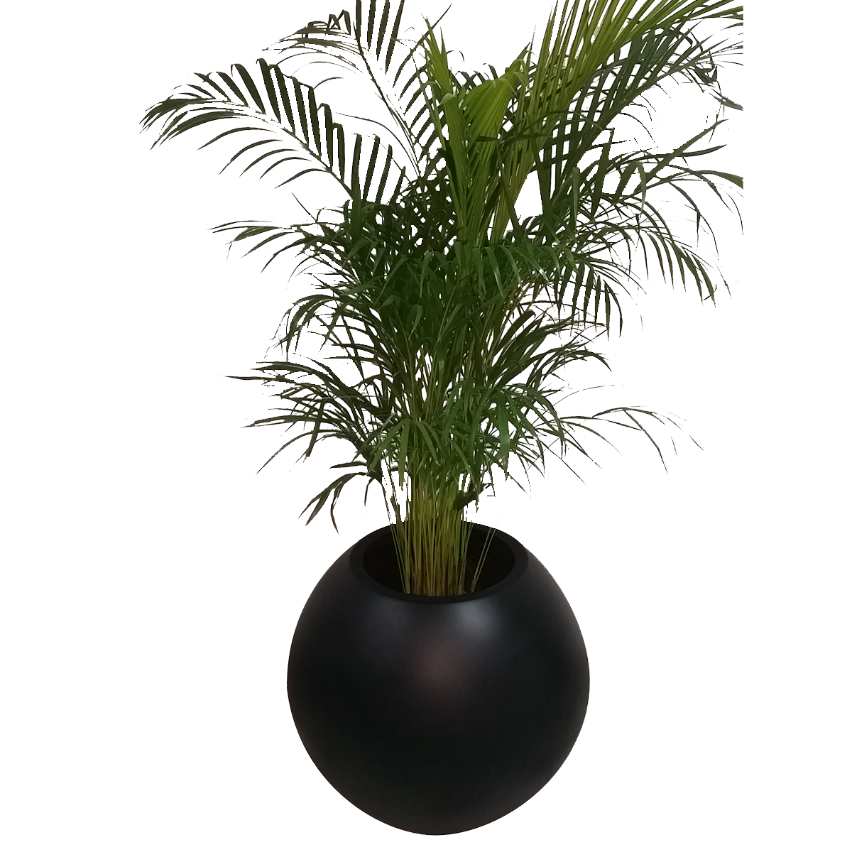 Maceta de fibra de vidrio modelo Esfera grande chocolate*