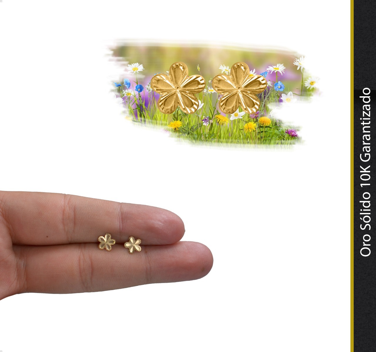 Aretes | Broqueles Flor Oro Puro 10k Piercing Moda + Estuche