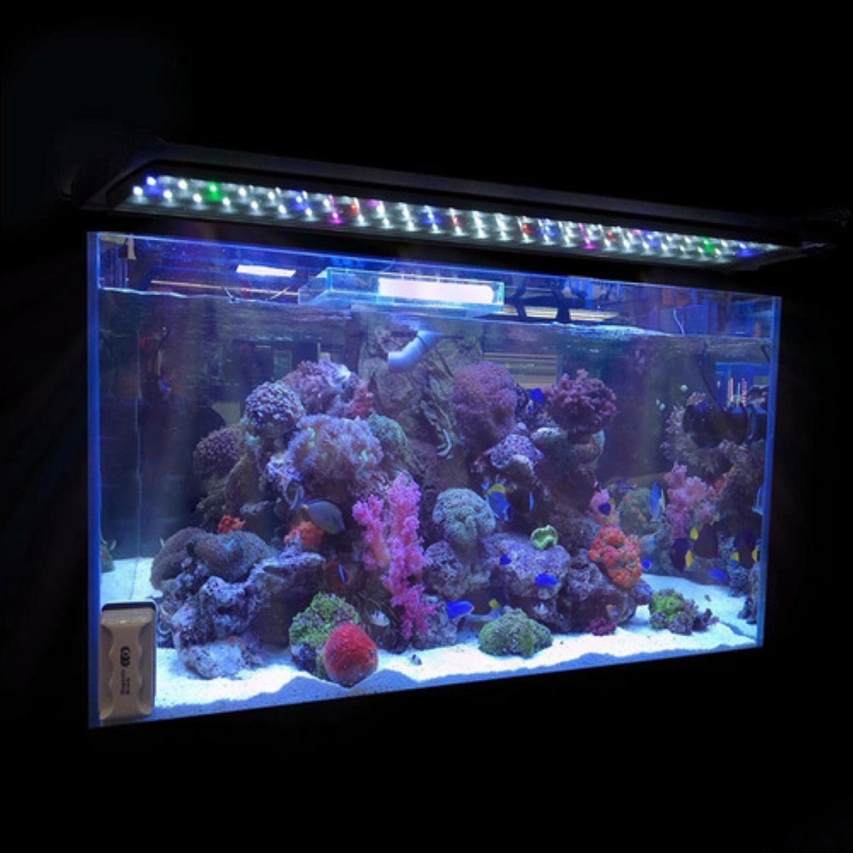 Luz Led Para Acuario De 6 W, 5 Colores Para Tanque Plantado