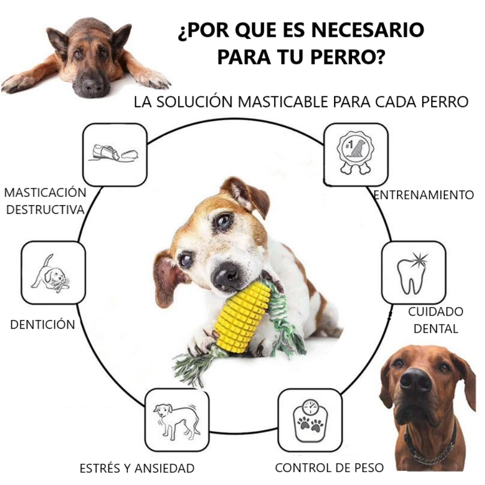 Juguete Para Perro Limpia Dientes Jaladera Cuerda Con Elote