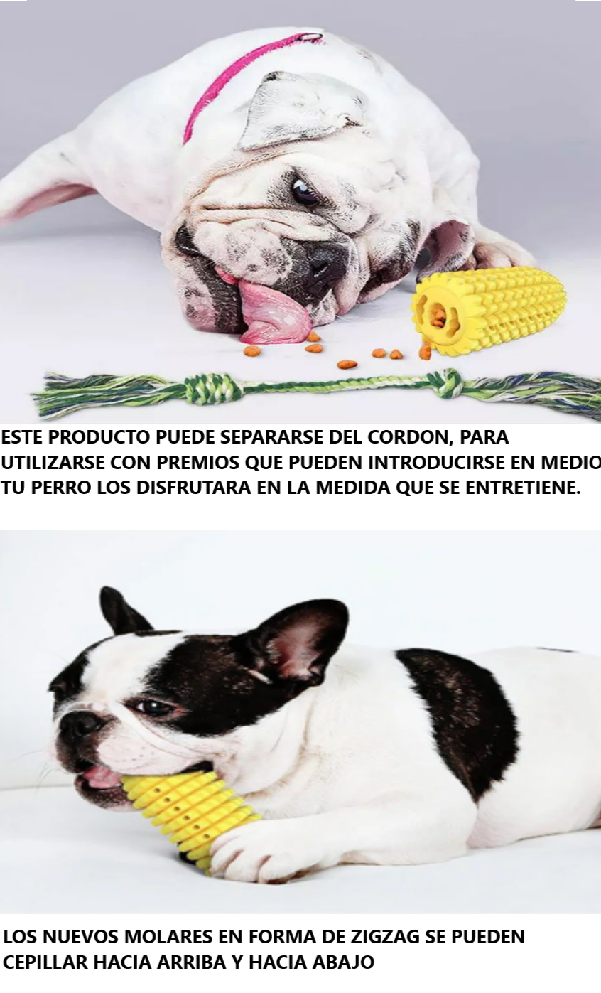 Juguete para perro indestructible y limpia dientes ELOTE