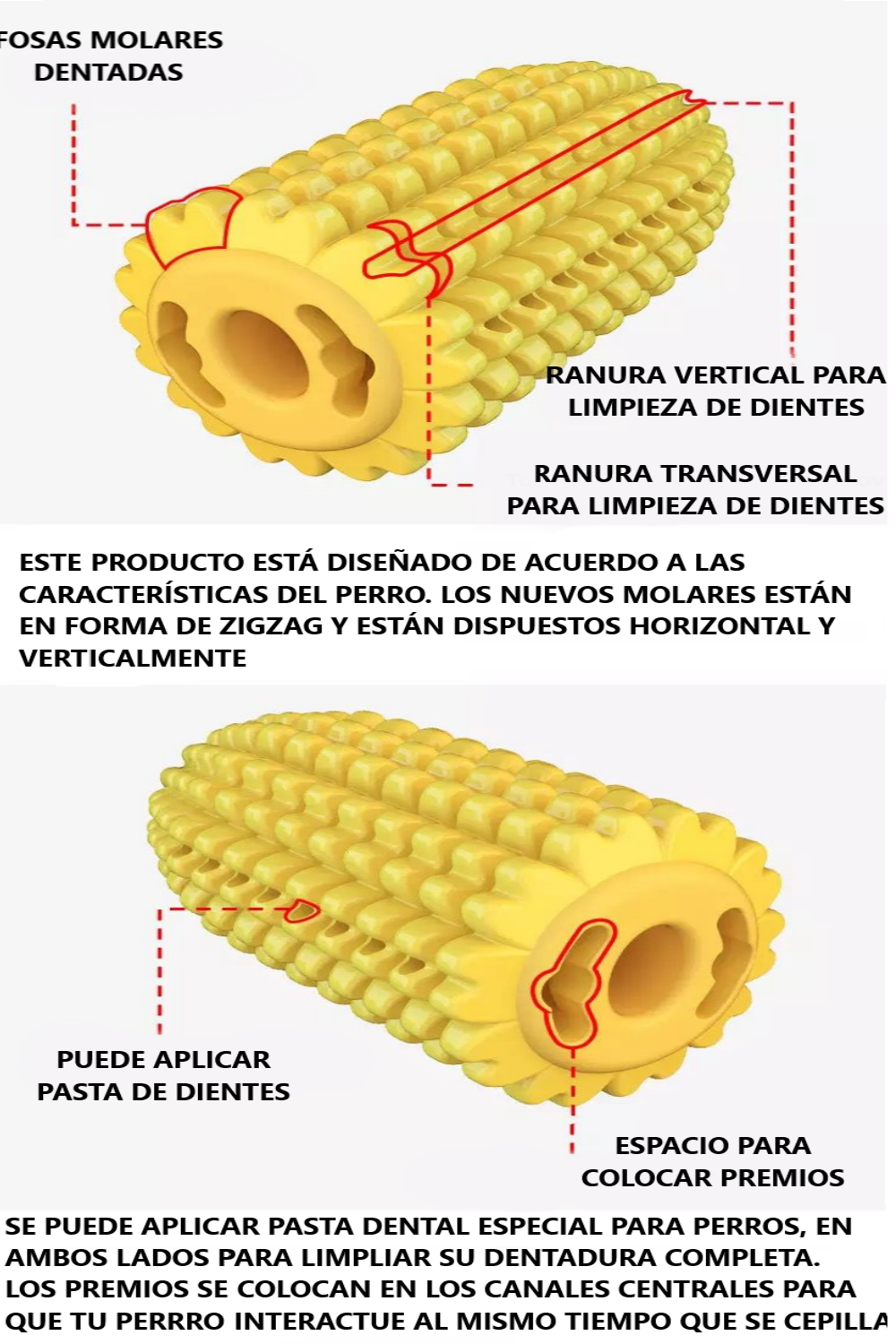 Juguete para perro indestructible y limpia dientes ELOTE