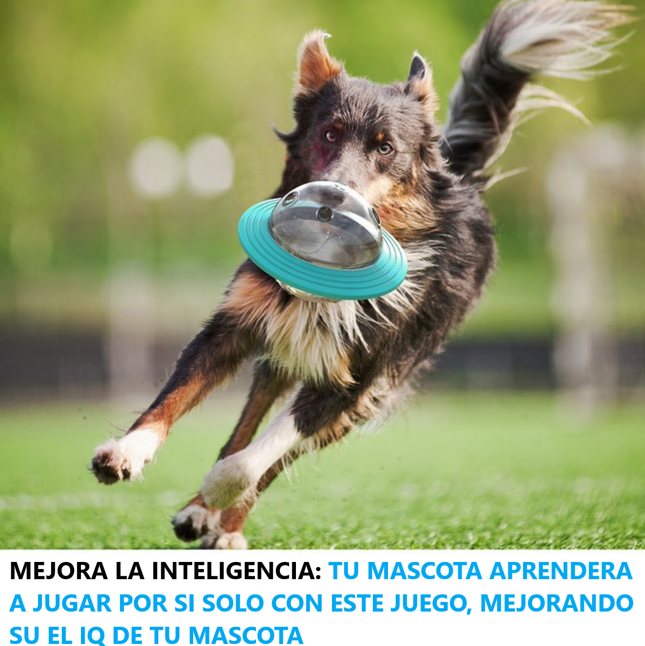 Juguete interactivo para perros, dispensador de premios PLANETA VERDE